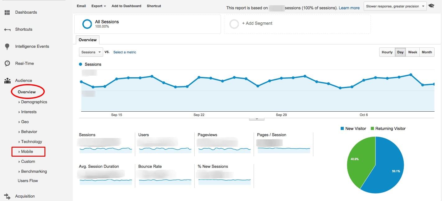 Audience Google Analytics